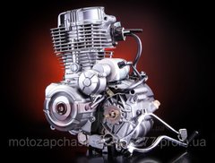 Двигун VIPER 4T CG250 (167FMM) EVO